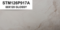 STM126P917A 60x120 SUPER GLOSSY GRANITE TILES SM (PO-F)