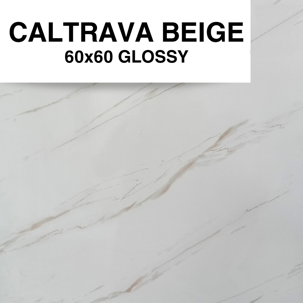 CALATRAVA BEIGE 60x60 MSC – MURA online Home Depot