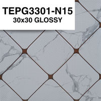 TEPG3301-N15 30x30 GLOSSY SM (PO)