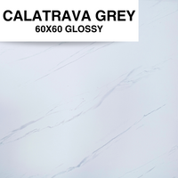 CALATRAVA GREY 60X60 MSC