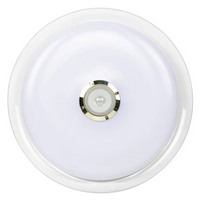 Ceiling Lamp LED PST4501-24W*2/COLORFUL BLUETOOTH D450mm BESTLIGHT (P.O)