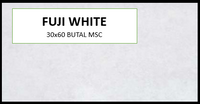 BUTAL FUJI WHITE 30X60 MSC