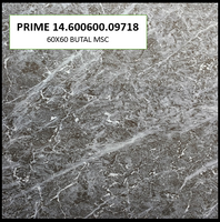 BUTAL PRIME 14.600600.09718 60X60 MSC