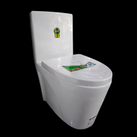 R706 ONE PIECE TOILET HS