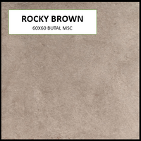 BUTAL ROCKY BROWN 60X60 MSC