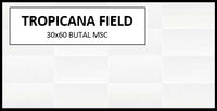 BUTAL TROPICANA FIELD 30X60 MSC-PRIME