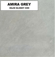 AMIRA GREY 30x30 GLOSSY COH