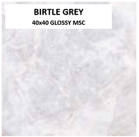 BUTAL BIRTLE GREY 40x40 GLOSSY MSC