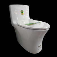 R711 ONE PIECE TOILET HS