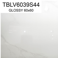 TBLV6039S44 60x60 GLOSSY GRANITE SM (PO-F)